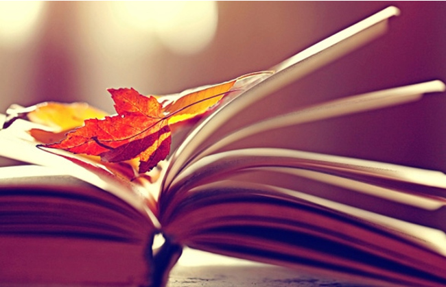 Des tours et des Livres (2 jours)